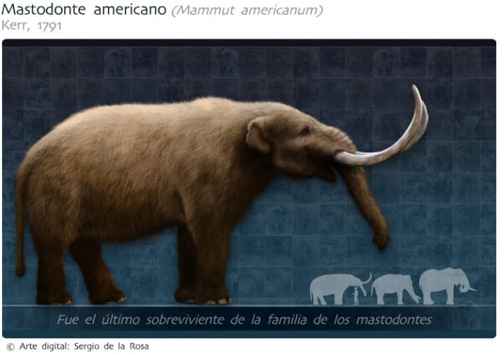 mastodonte