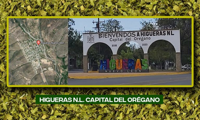 higueras-nuevo-leon-capital-del-oregano